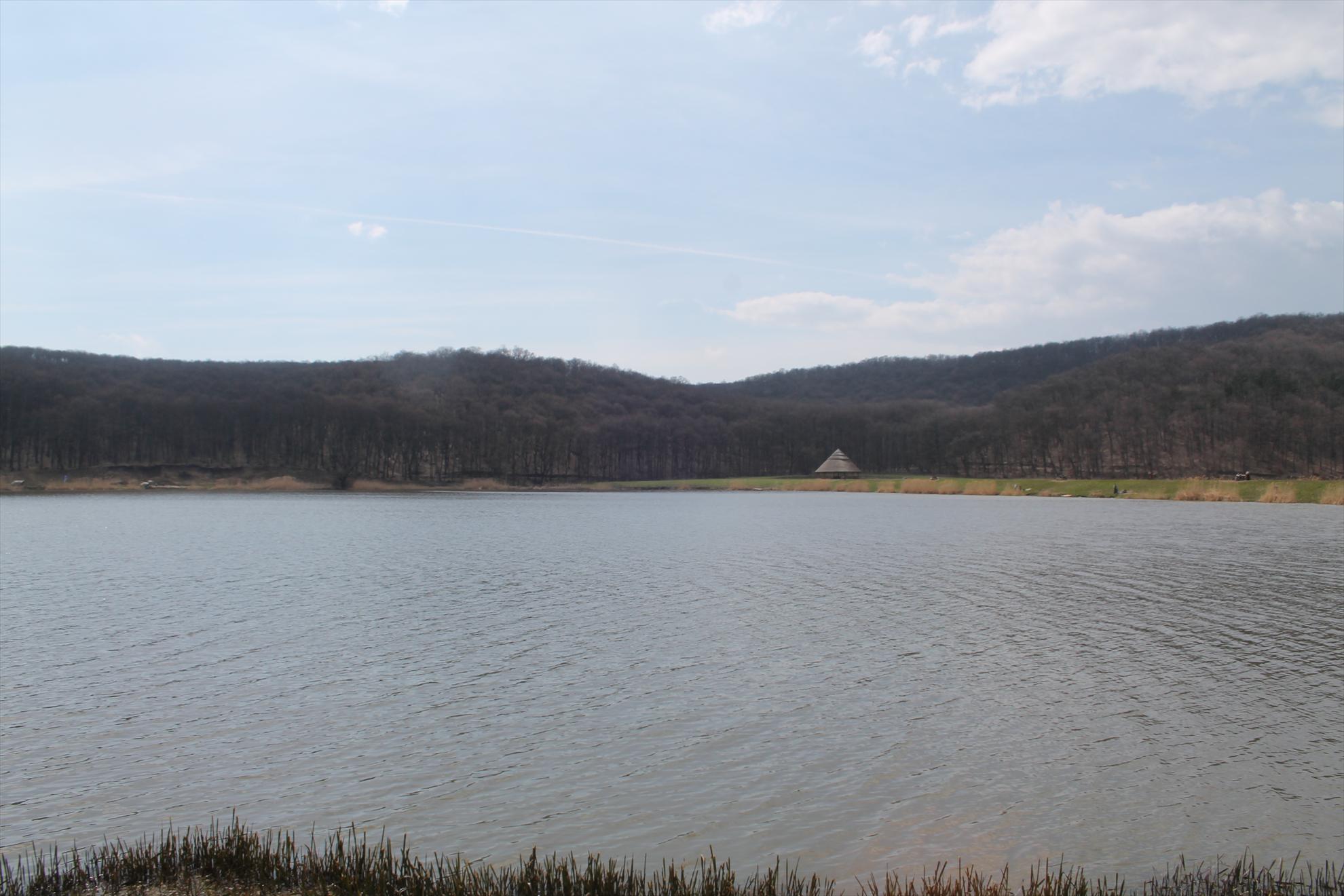 Harsany aprilie2013 - harsany-aprilie2013-238.JPG